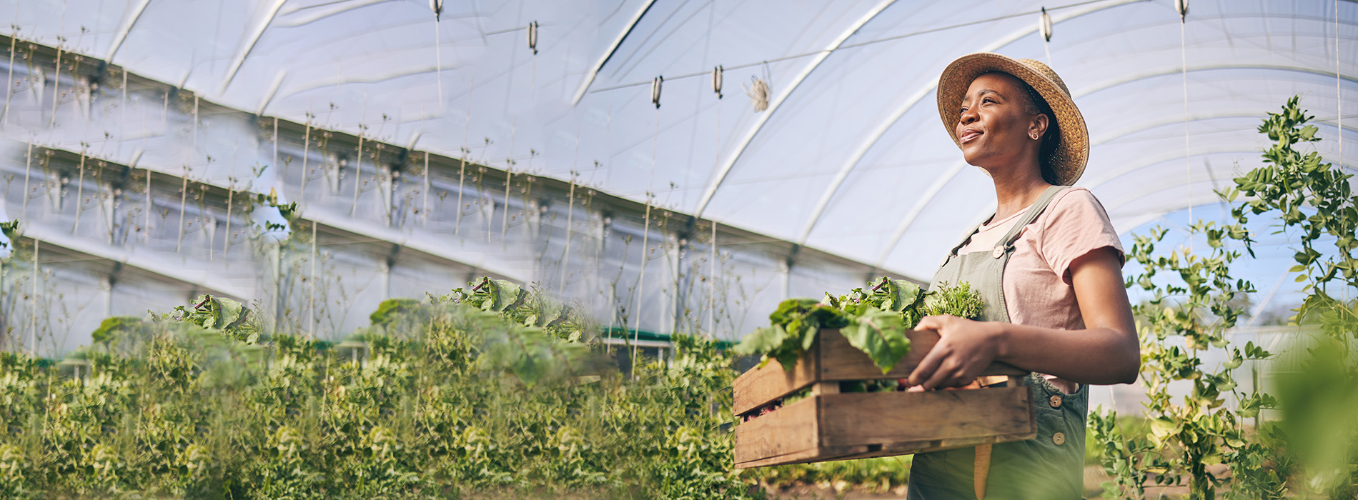 TMS Treatment for Anxiety St. Cloud MN